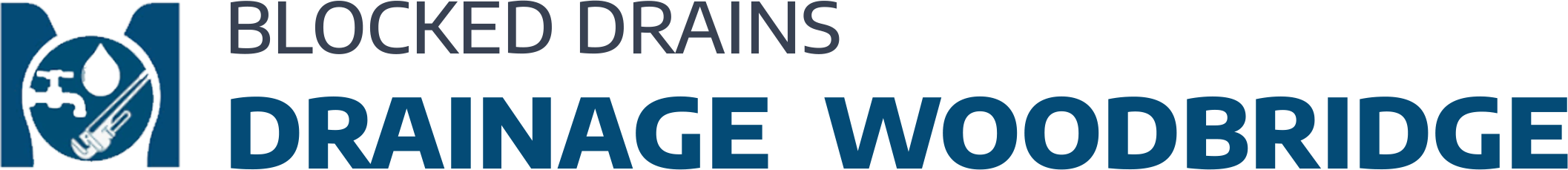 website logo